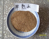 园林植物种子类