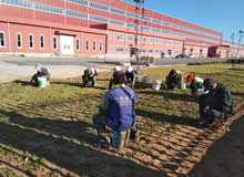 辽宁盘锦忠旺铝业有限公司厂区绿化工程